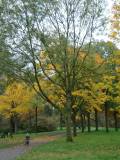 herfst 1